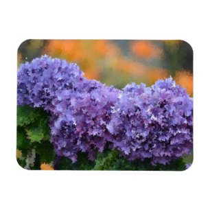 Hydrangea Magnet