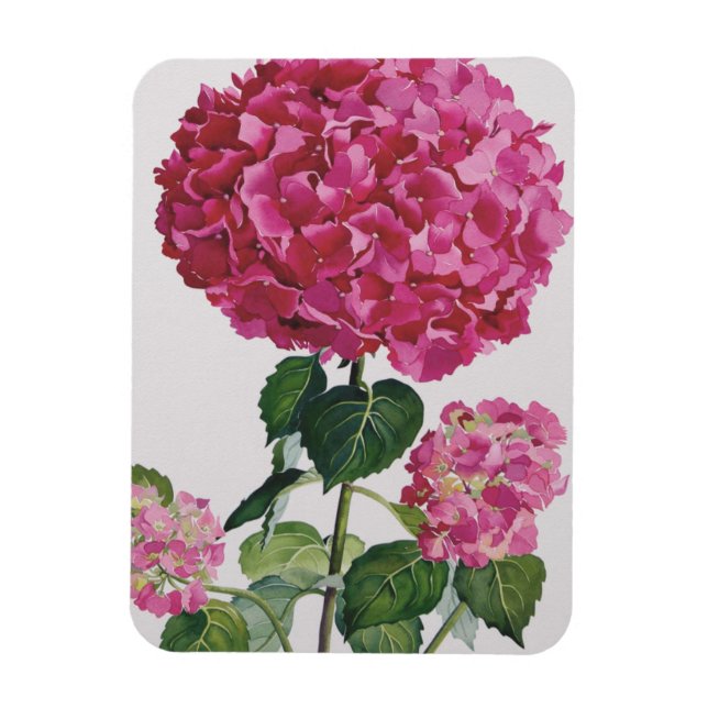 Hydrangea Magnet (Vertical)
