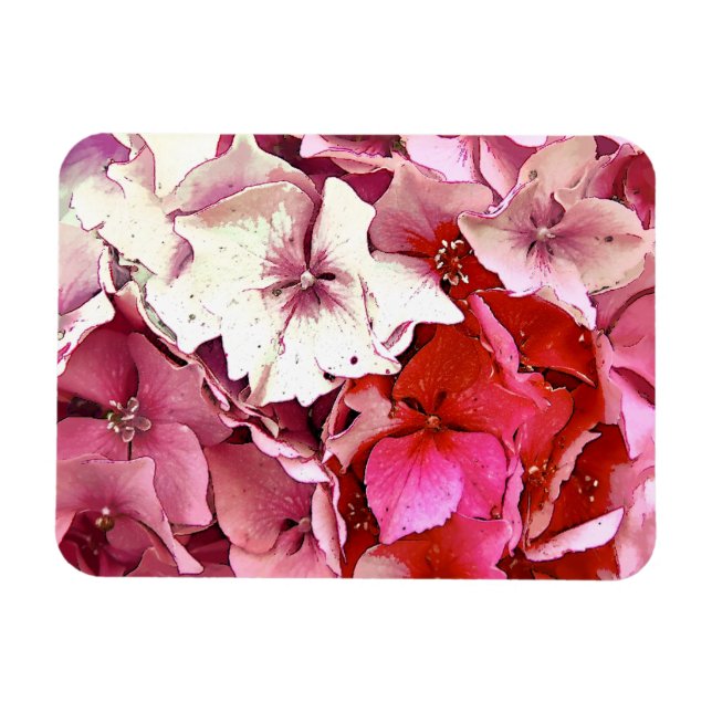 HYDRANGEA MAGNET (Horizontal)