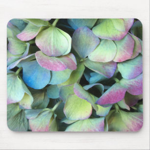 HYDRANGEA  Multi-colour petals --- Mouse Pad