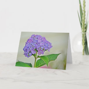 Hydrangea Note Card