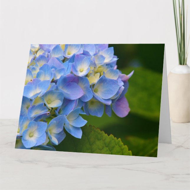 Hydrangea Note Card (Front)