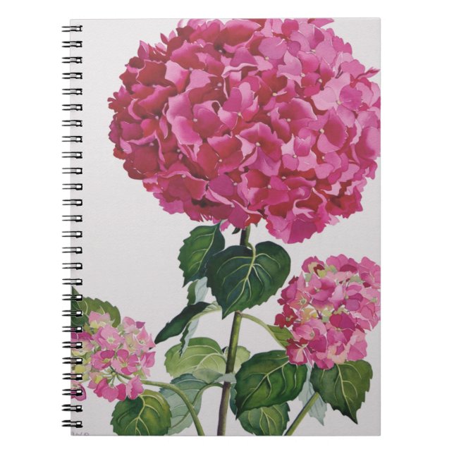 Hydrangea Notebook (Front)