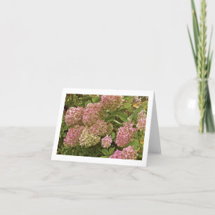 "HYDRANGEA" NOTECARD