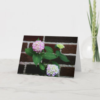 hydrangea on brick card