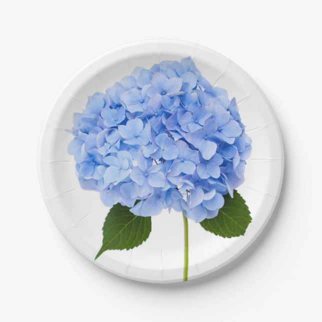 Hydrangea Paper Plate (Front)