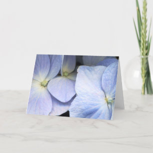 Hydrangea Petals Greeting Card