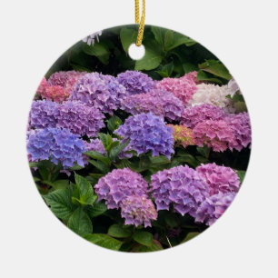 Hydrangea Photograph Ceramic Ornament