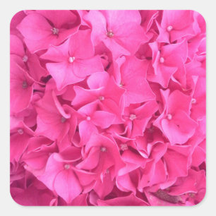 Hydrangea Pink Flower Pattern Square Sticker