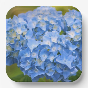 Hydrangea Plates Party