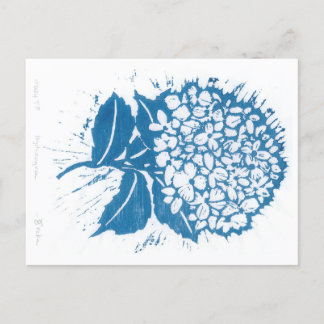 Hydrangea postcard