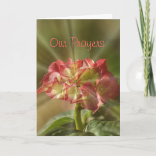 Hydrangea Prayer card or any occasion