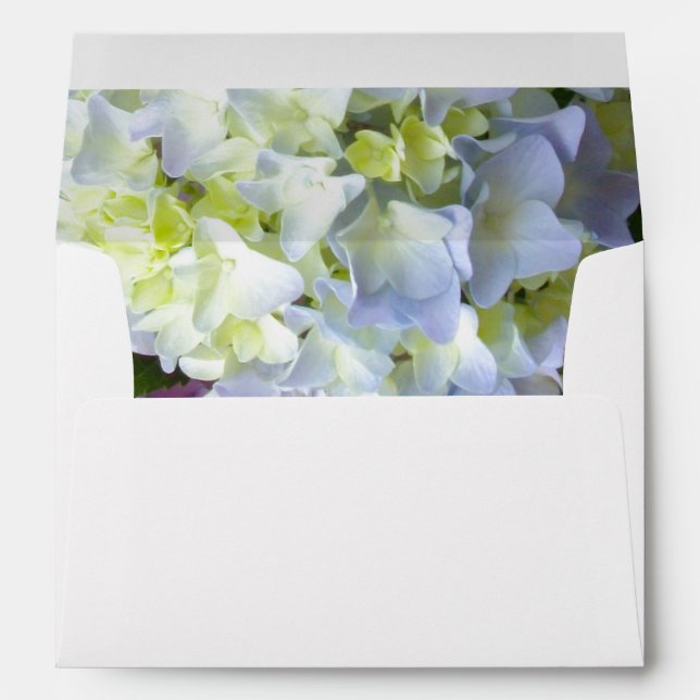 Hydrangea\s blue yellow flowers envelopes (Back (Bottom))