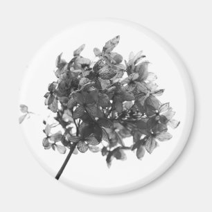 Hydrangea Seed Head Magnet