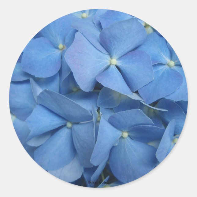 Hydrangea Sticker (Front)