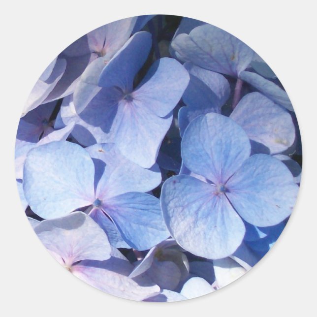 Hydrangea Sticker (Front)