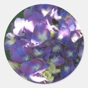Hydrangea Stickers