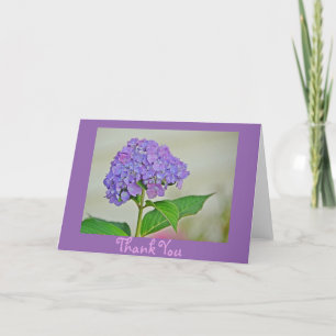 Hydrangea Thank You Card