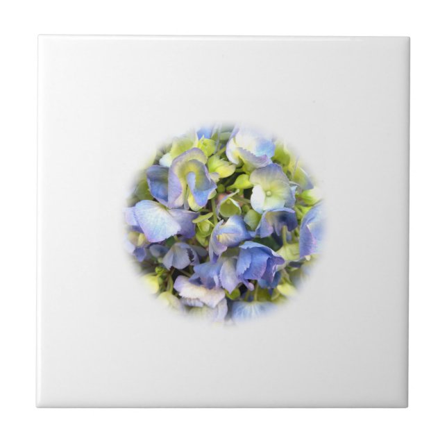 Hydrangea Tile (Front)