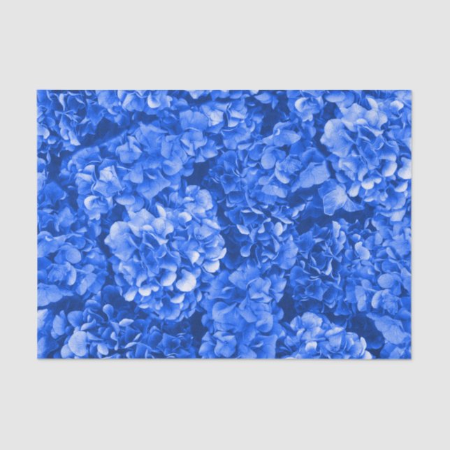 Hydrangea Tissue Paper (Front)