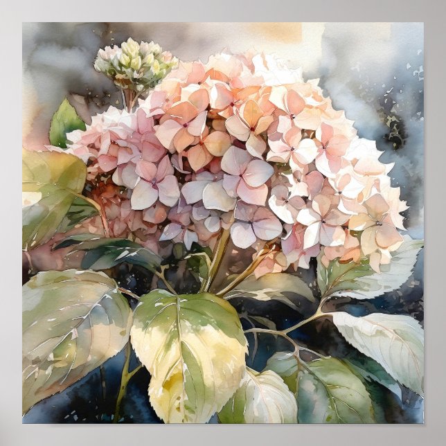 Hydrangea Watercolor Art Print (Front)