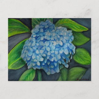 Hydrangea watercolor painting Postcard