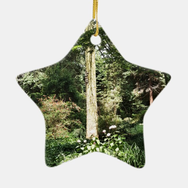 Hydrangea Wood Trees Nature Photography Ceramic Tree Decoration (Back)