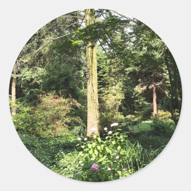 Hydrangea Wood Trees Nature Photography Classic Round Sticker (Front)
