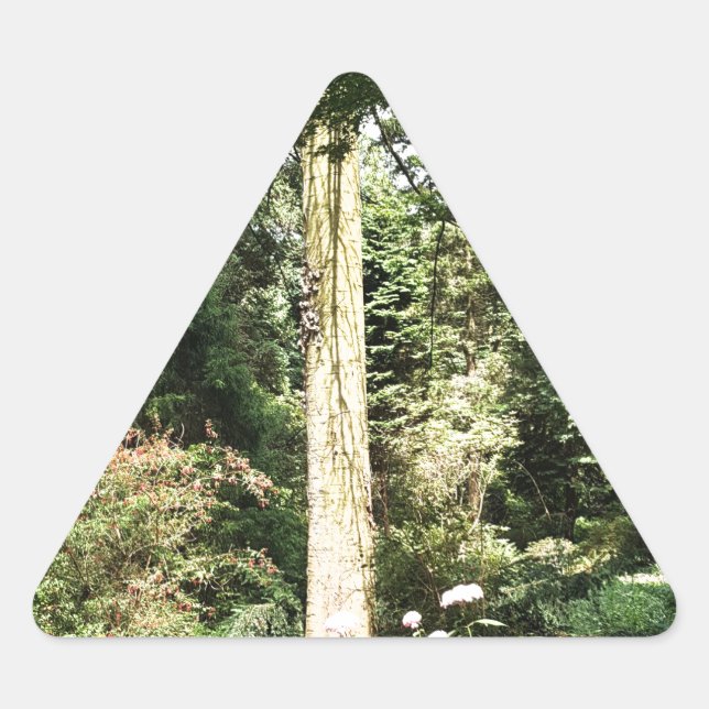 Hydrangea Wood Trees Nature Photography Triangle Sticker (Front)