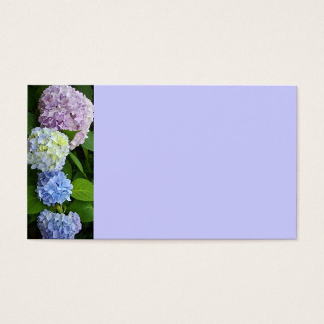 Hydrangeas (Front)