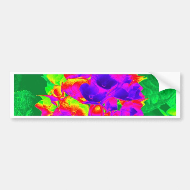 Hydrangeas 1 bumper sticker (Front)