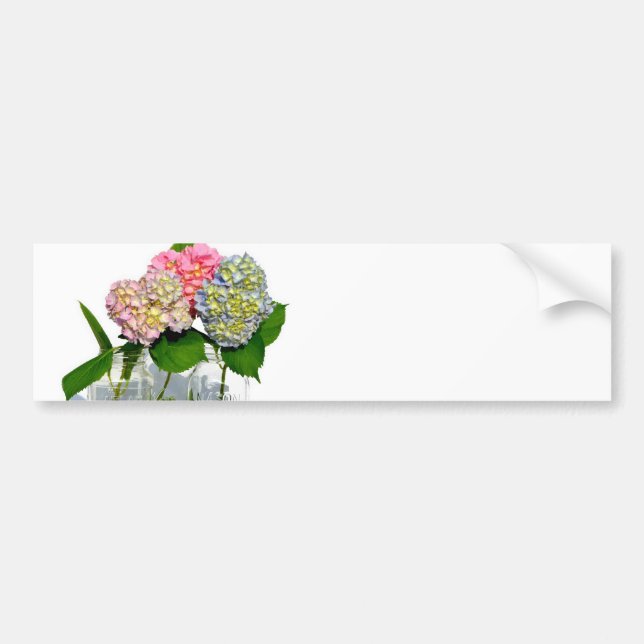 Hydrangeas and Mason jar Bumper Sticker (Front)