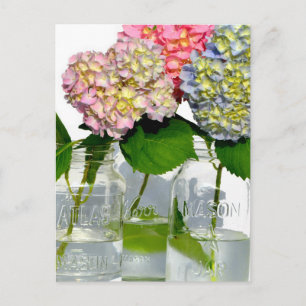 Hydrangeas and Mason jar Postcard