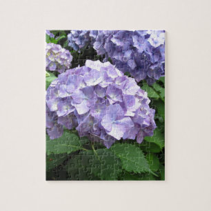 Hydrangeas at Trebah Gardens, Cornwall Jigsaw Puzzle