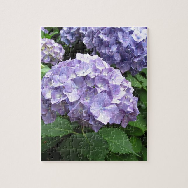 Hydrangeas at Trebah Gardens, Cornwall Jigsaw Puzzle (Vertical)