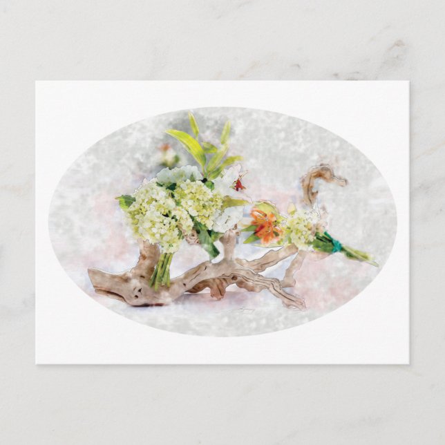 Hydrangeas Bella Watercolor Postcard (Front)