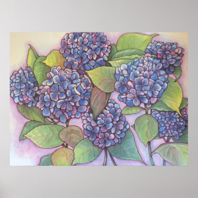 Hydrangeas CANVAS PRINT (Front)