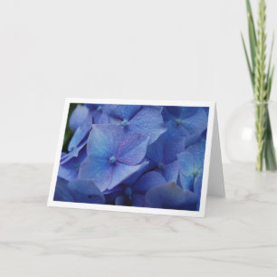 Hydrangeas Card