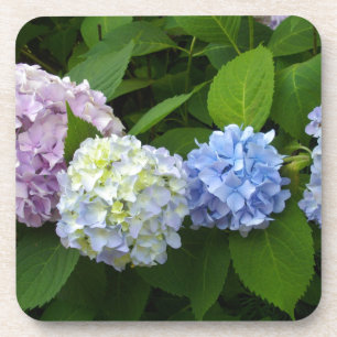 Hydrangeas Coaster