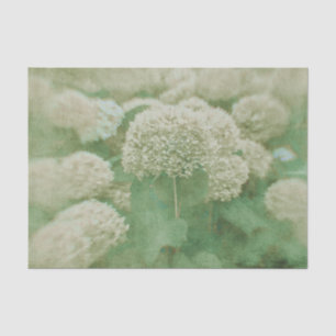 Hydrangeas Floral Green White Textured Vintage Tissue Paper