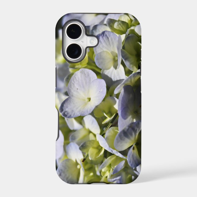 Hydrangeas Flowers (Back)