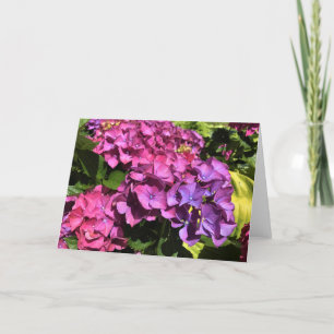 Hydrangeas Holiday Card