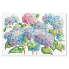Hydrangeas in Bloom
