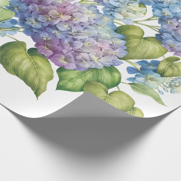 Hydrangea Wrapping Paper | Zazzle.com.au