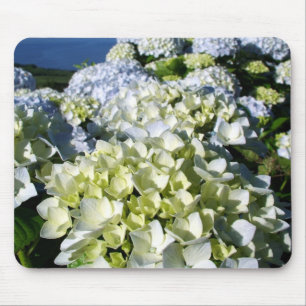 Hydrangeas Mouse Pad