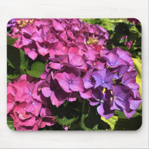 Hydrangeas mouse pad