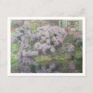 Hydrangeas on the banks of the River Lys, 1898 (oi Postcard