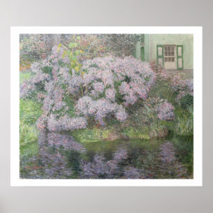 Hydrangeas on the banks of the River Lys, 1898 (oi Poster