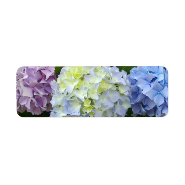 Hydrangeas pink purple blue return address label (Front)