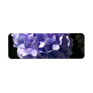 Hydrangeas Return Address Label